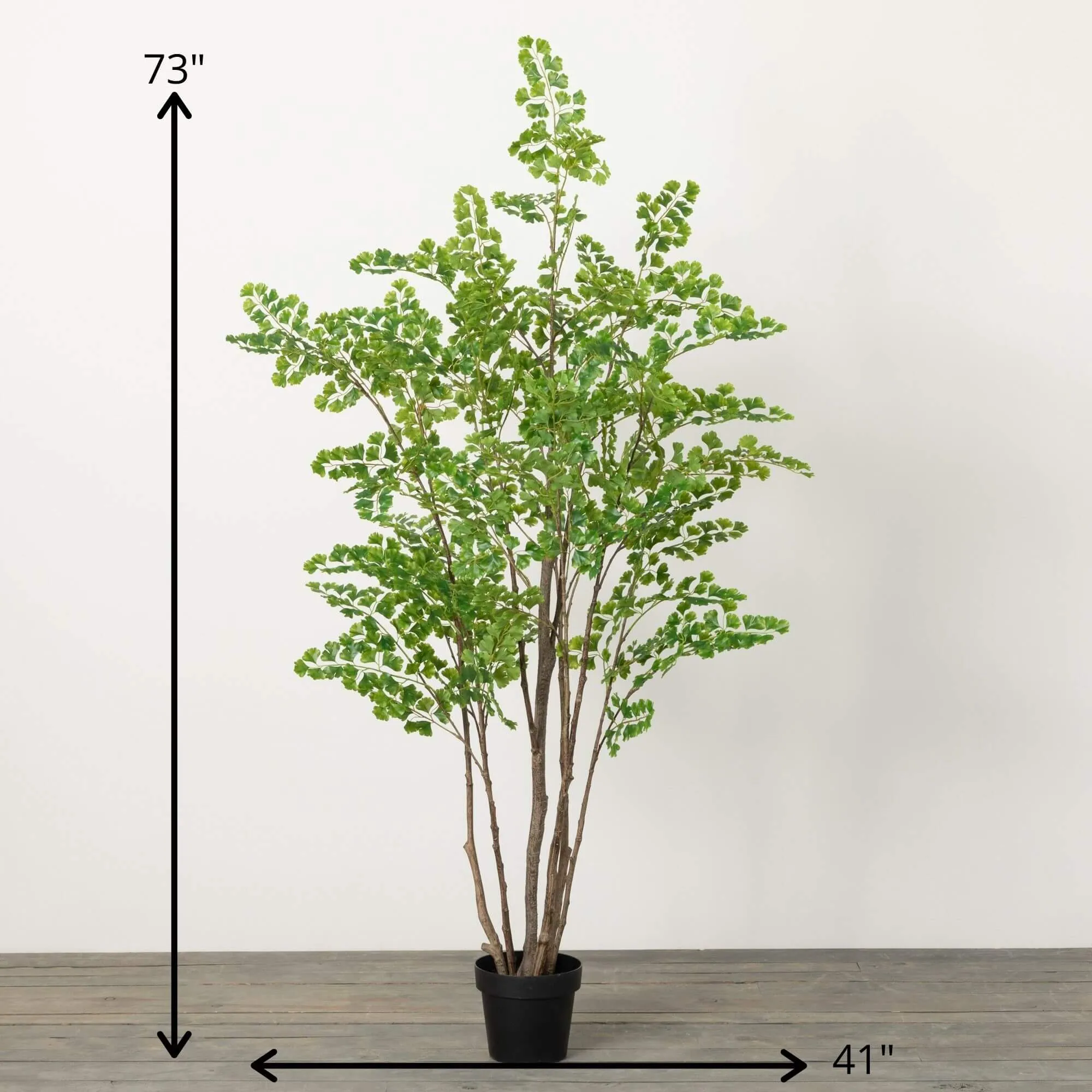 6'1"H Sullivans Towering Lace Fern Tree, Green